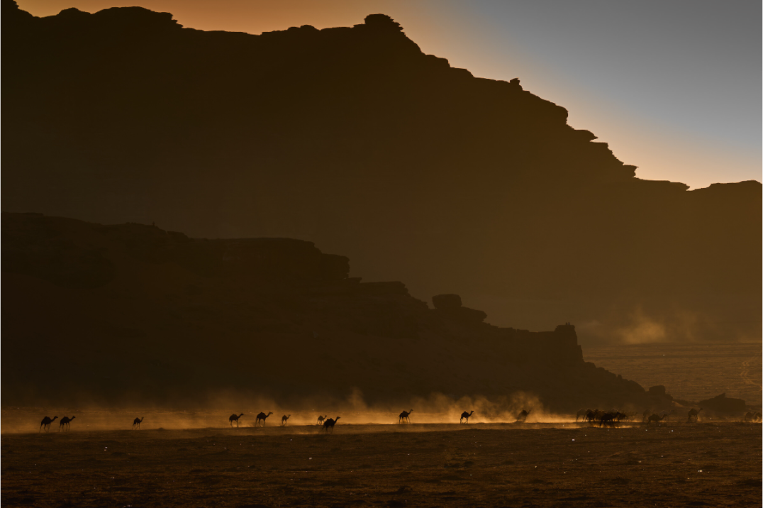Main image Wadi Rum